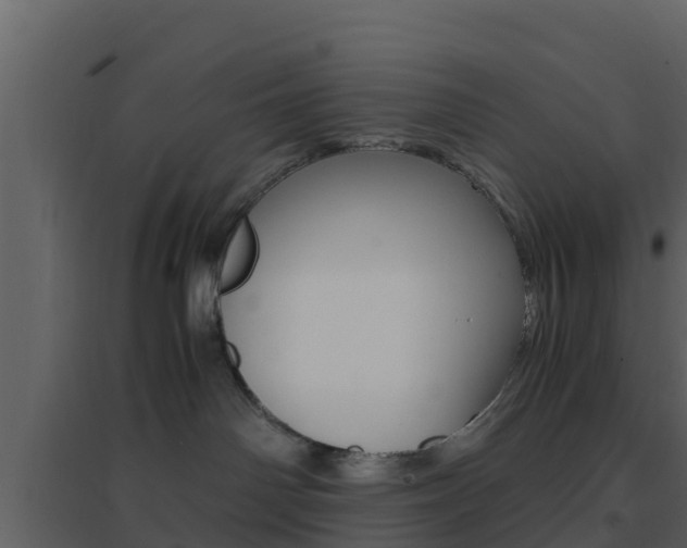 X0000096700142200802051109