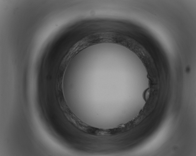 X0000096700143200802051109