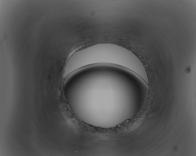 X0000096700144200802051109