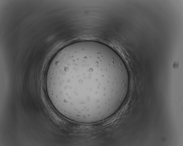 X0000096700145200802051109