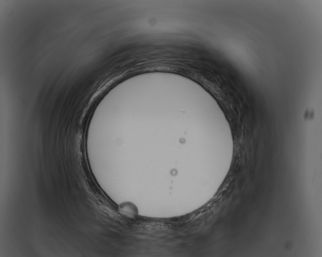 X0000096700146200802051109