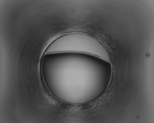 X0000096700148200802051109