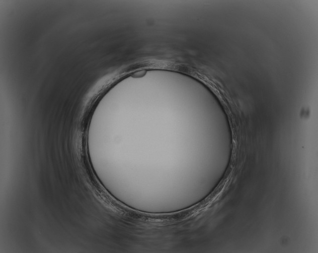 X0000096700149200802051109