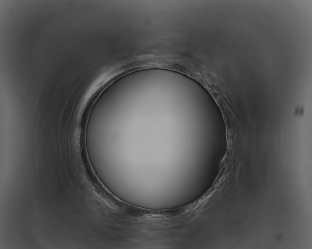 X0000096700150200802051109