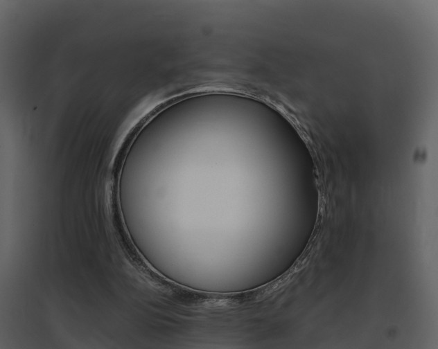 X0000096700152200802051109