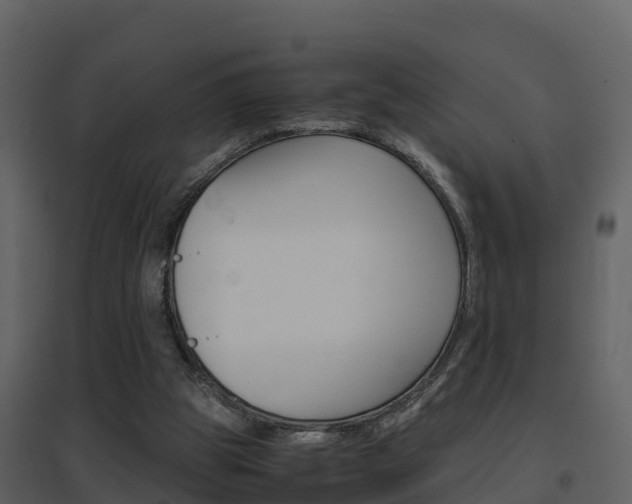 X0000096700153200802051109