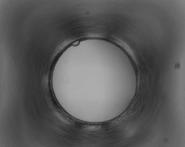 X0000096700155200802051109