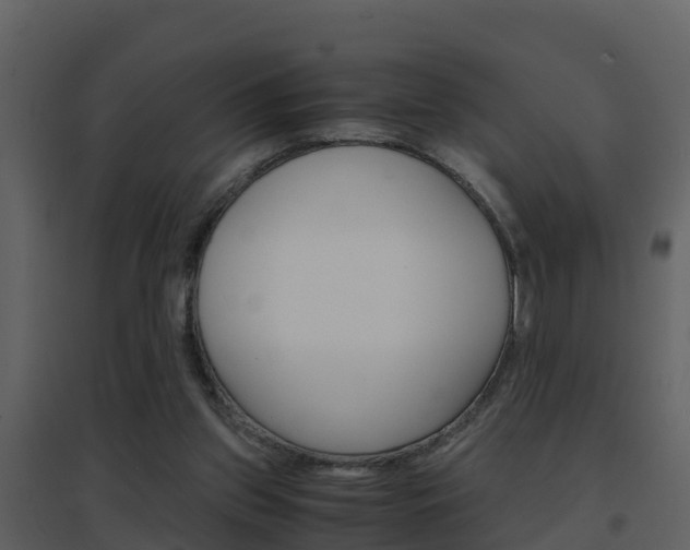 X0000096700157200802051109