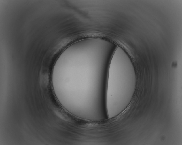 X0000096700158200802051109