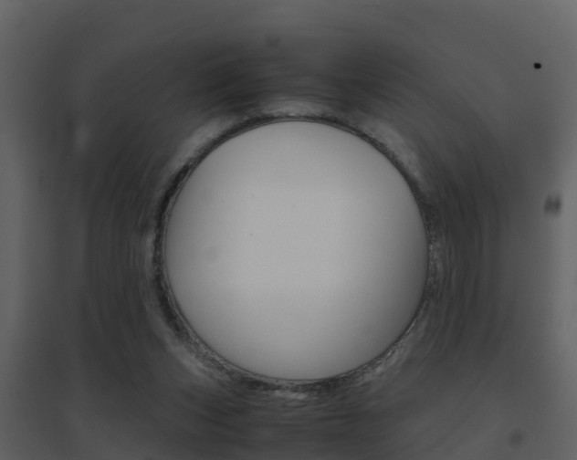 X0000096700159200802051109
