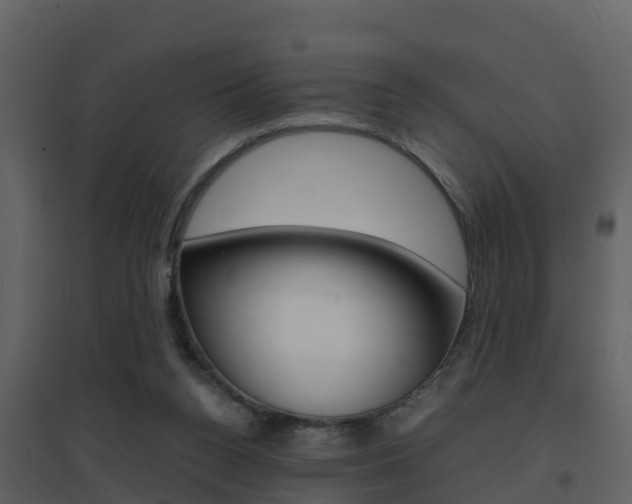 X0000096700160200802051109