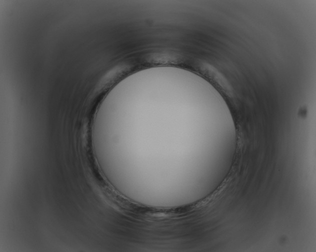 X0000096700163200802051109