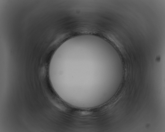 X0000096700165200802051109