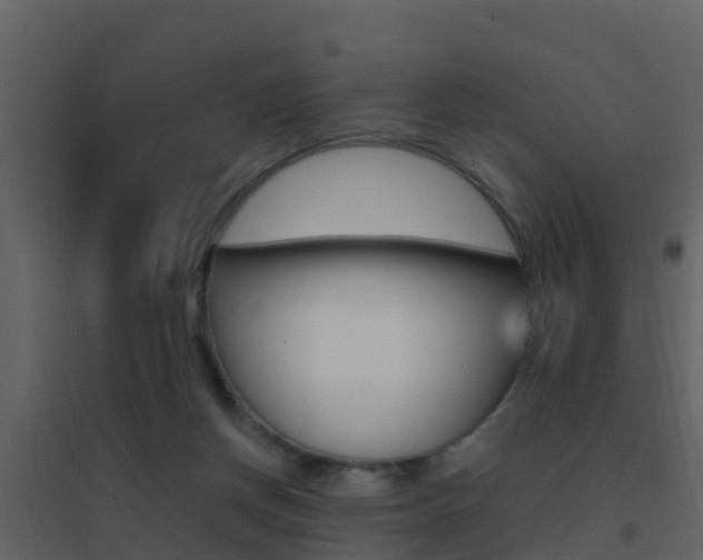 X0000096700166200802051109