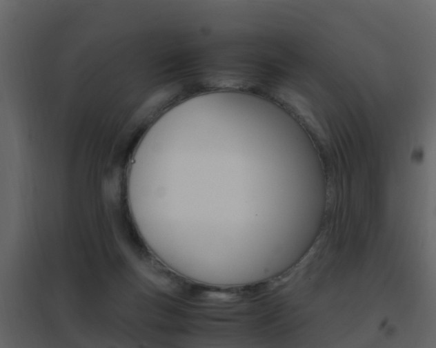 X0000096700167200802051109