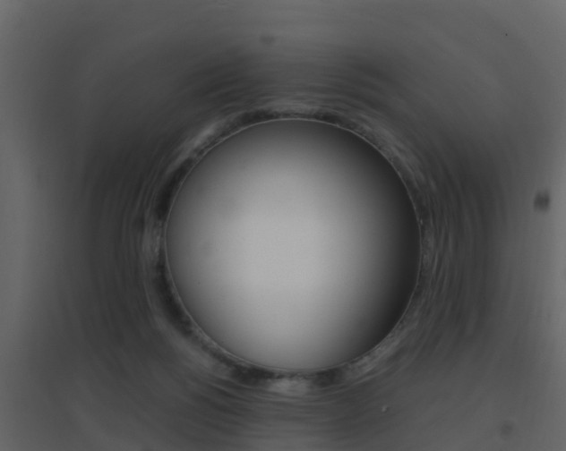 X0000096700168200802051109