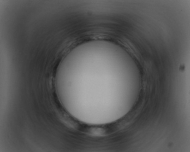 X0000096700169200802051109