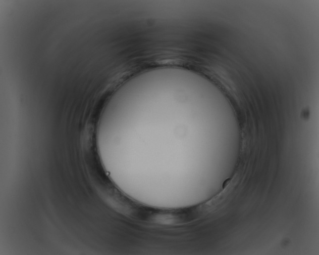 X0000096700171200802051109