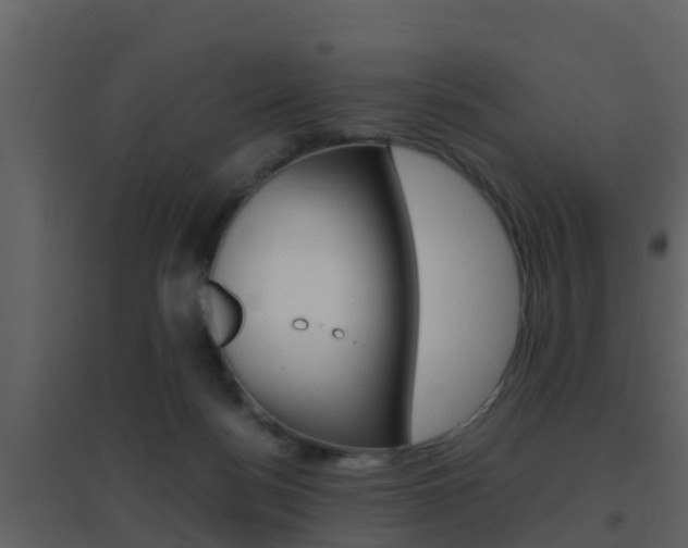 X0000096700172200802051109