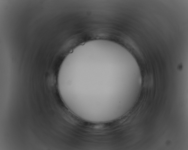 X0000096700173200802051109
