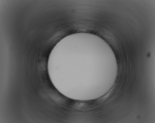 X0000096700174200802051109