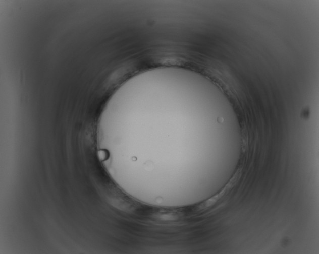 X0000096700175200802051109