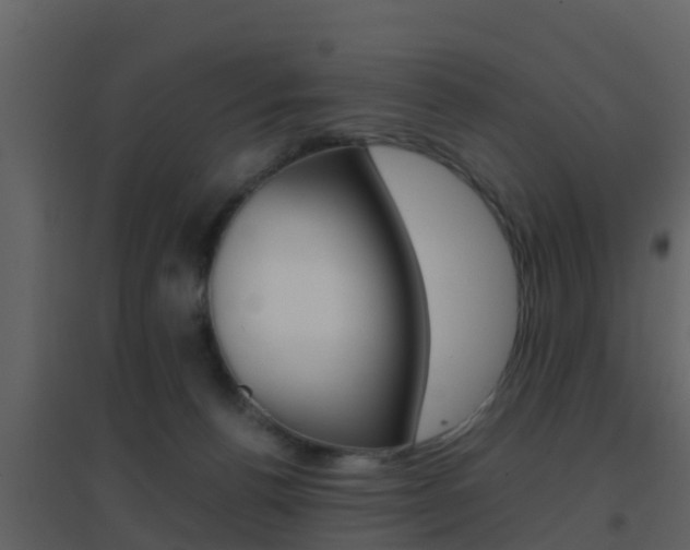 X0000096700176200802051109