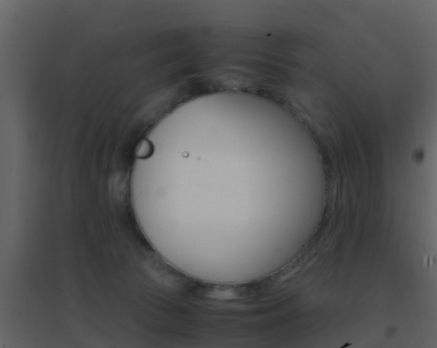 X0000096700177200802051109