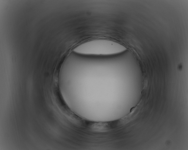 X0000096700179200802051109