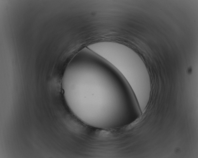 X0000096700180200802051109