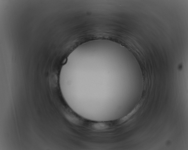 X0000096700183200802051109