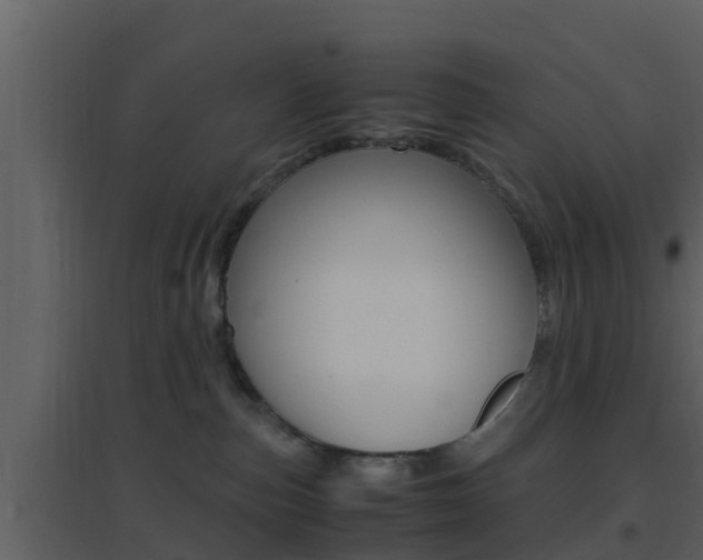 X0000096700187200802051109