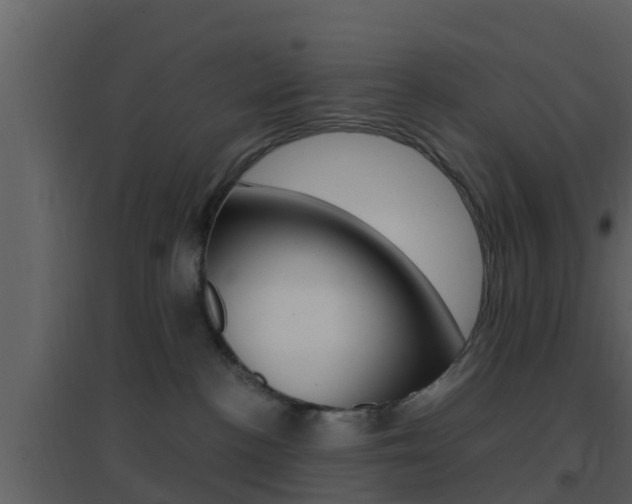 X0000096700188200802051109