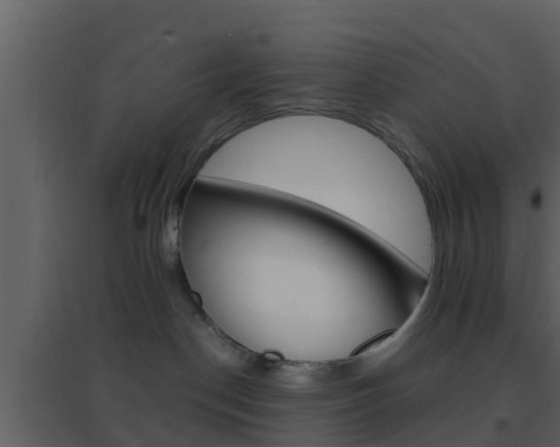 X0000096700190200802051109