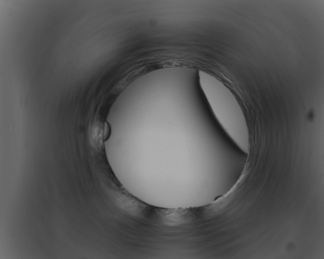 X0000096700191200802051109