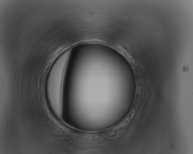 X0000096700193200802051109