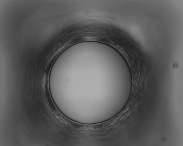 X0000096700194200802051109