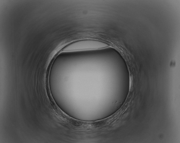 X0000096700195200802051109