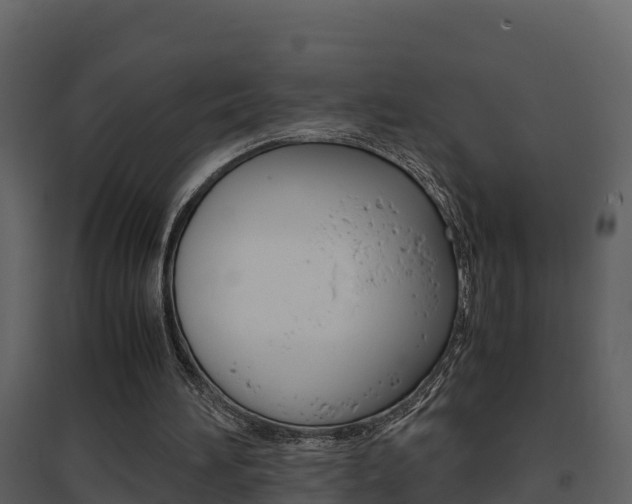 X0000096700196200802051109