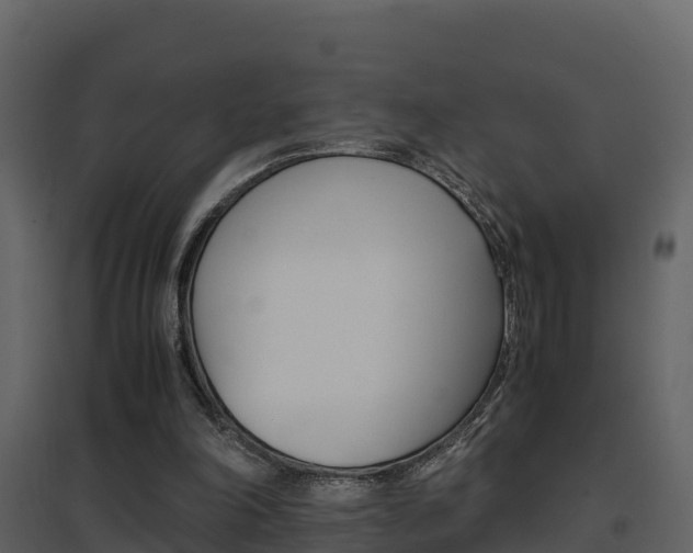 X0000096700198200802051109
