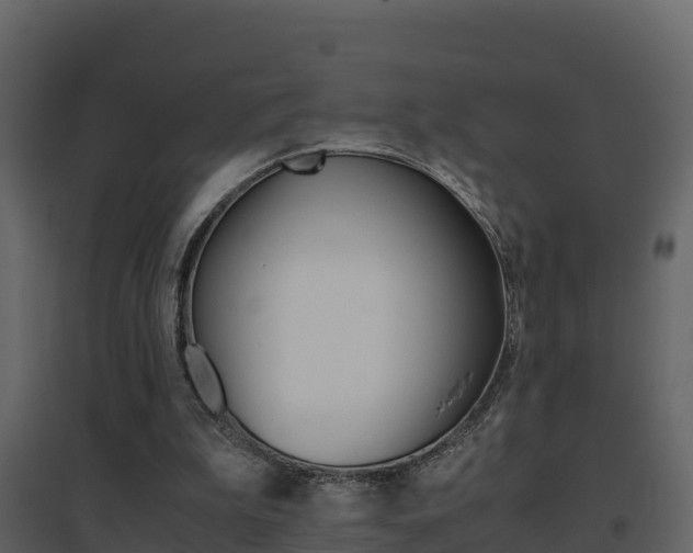 X0000096700199200802051109