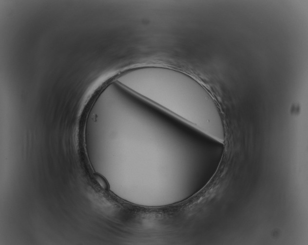 X0000096700200200802051109