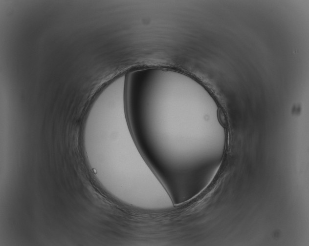 X0000096700201200802051109