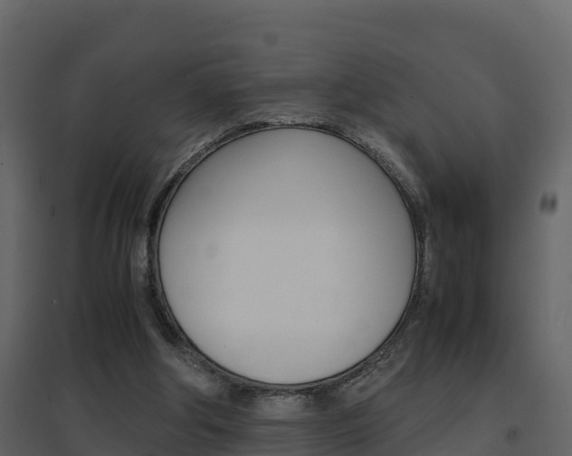 X0000096700202200802051109