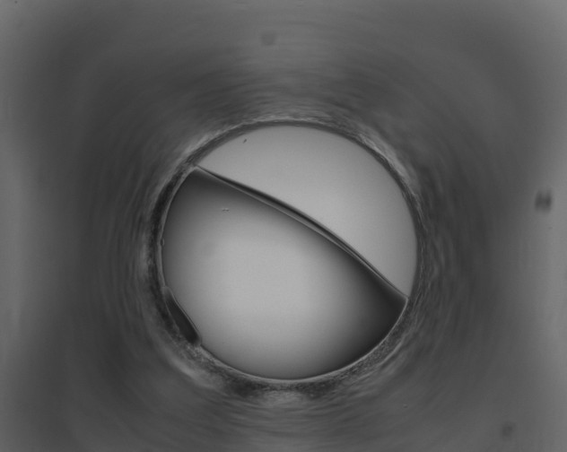 X0000096700203200802051109