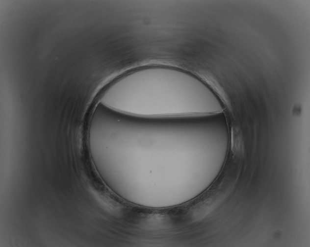 X0000096700204200802051109
