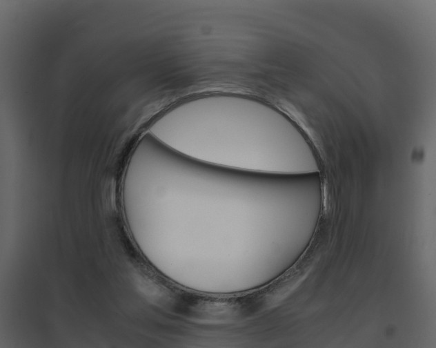 X0000096700205200802051109