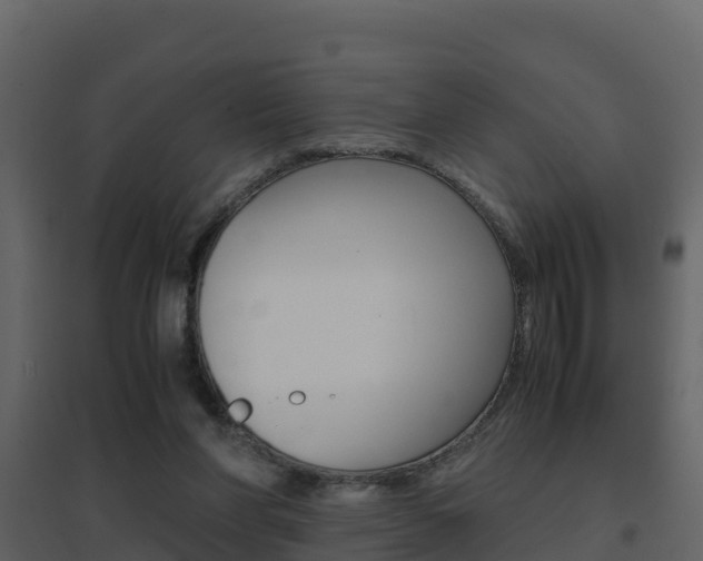 X0000096700206200802051109