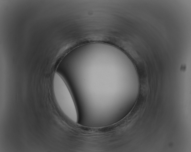 X0000096700207200802051109