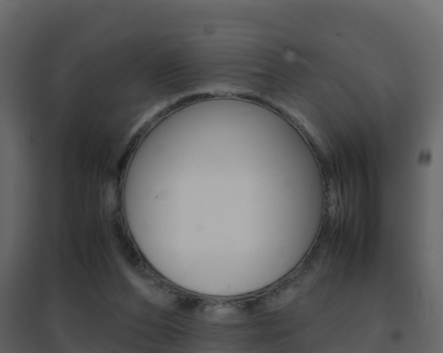 X0000096700208200802051109